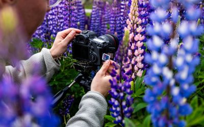 How to Create a Content Calendar That Works