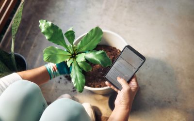 How to Build a Simple Nurture Email Sequence